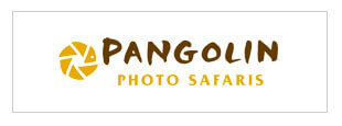 pangolin photo safari case study