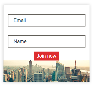 Newsletter form for lead capture
